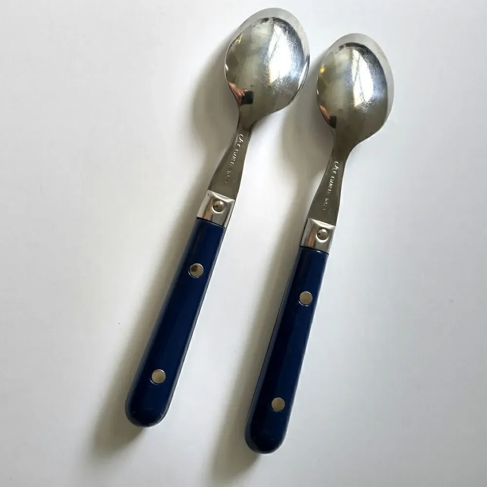 Vtg ANACAPA Teaspoon Set Pair Blue Handle Stainless Steel Retro Melamine Acrylic
